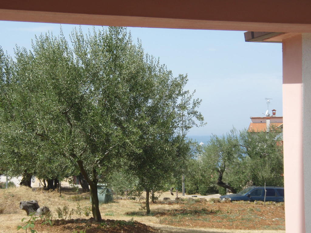 Guest House Zohil Rovinj Ruang foto